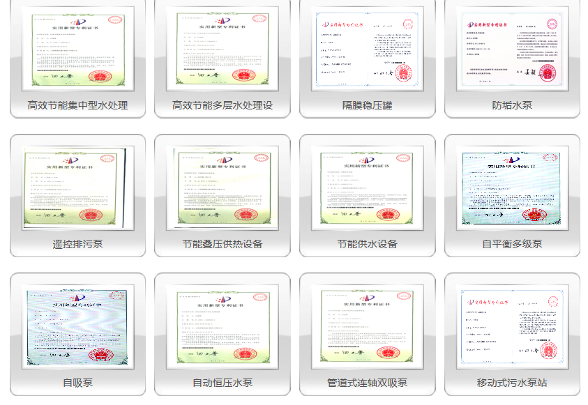 熊猫3.png